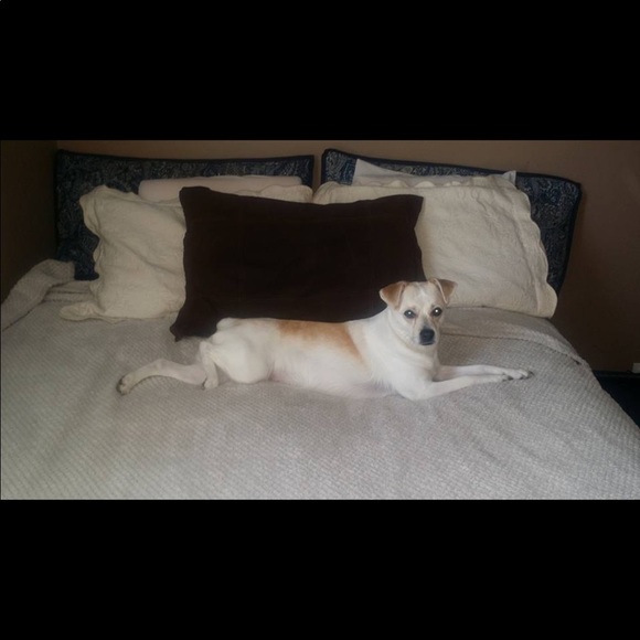 Meet your Posher Dawn - Picture 8 of 9